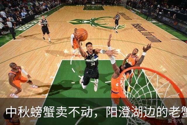 中秋螃蟹卖不动，阳澄湖边的老蟹农说出了大实话