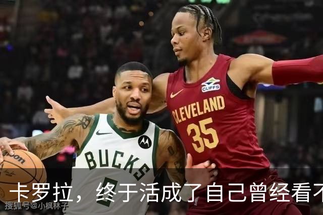 卡罗拉，终于活成了自己曾经看不上的样子