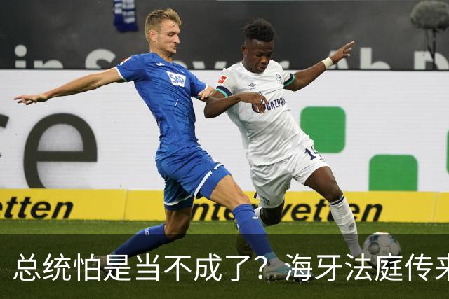 总统怕是当不成了？海牙法庭传来噩耗，老杜家族迎来绝地反击时刻